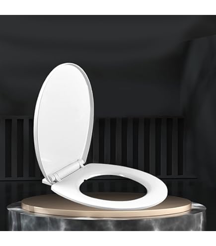 Panasonic Beauty Toilette Toilet Seat DL-RT40-WS Instantaneous